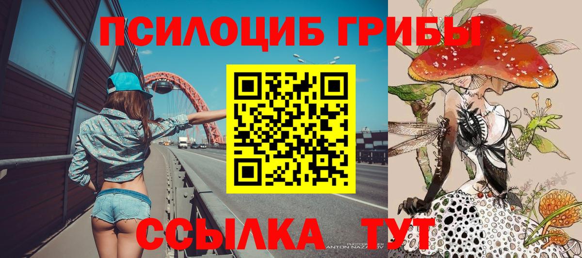 Псилоцибиновые грибы Psilocybe Белогорск