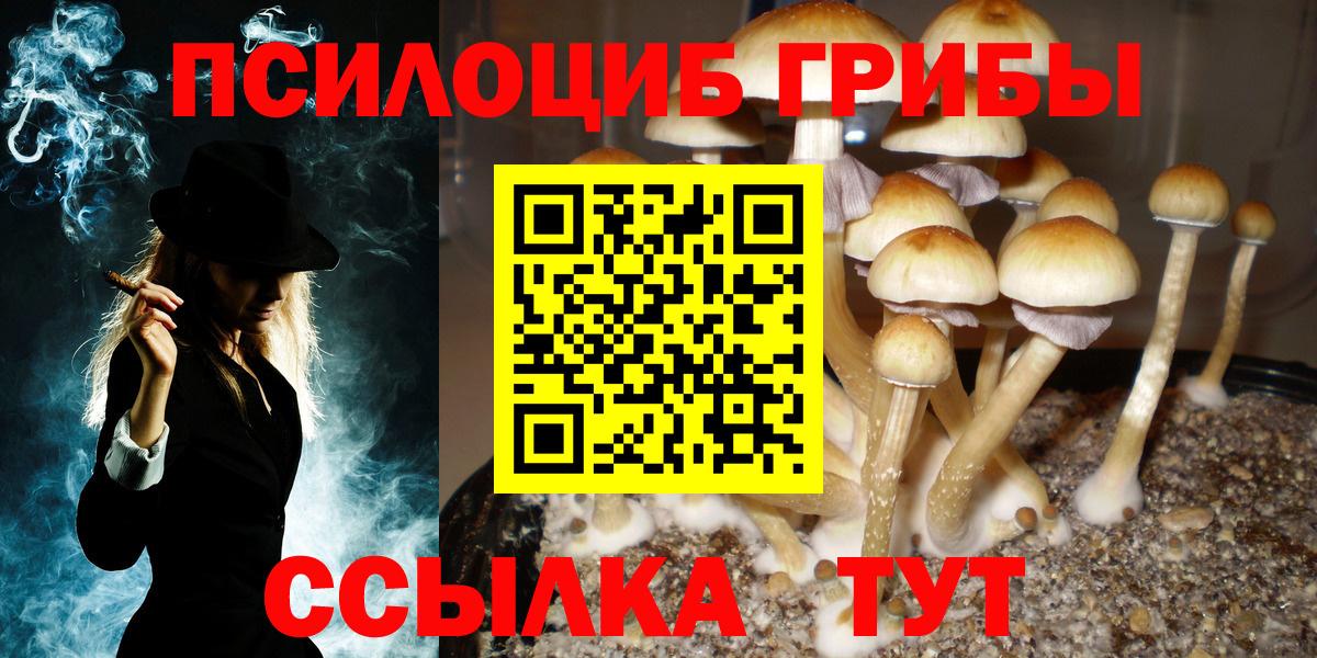 Белогорск  Галлюциногенные грибы Magic Shrooms  Вход с VPN 